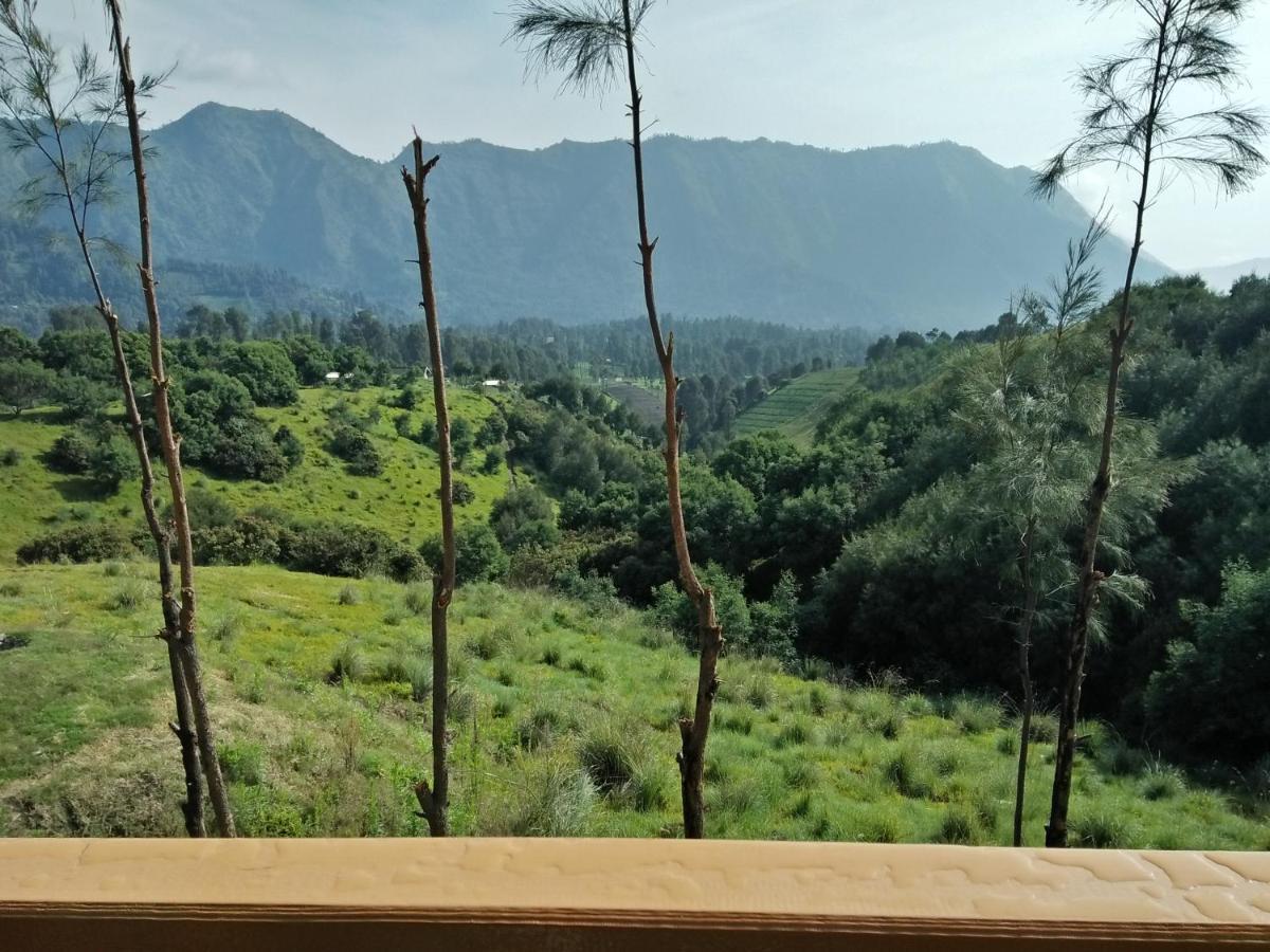 Lava View Lodge 브로모 외부 사진